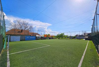 PROPRIETATE CU AFACERE FUNCTIONALA DE - PETREU, LANGA MARGH - 4