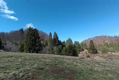 Teren intravilan intr-o zona mirifica, cu apa curgatoare, Zarnesti - 10