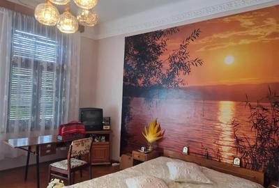 Poveste saseasca la umbra vitei de vie, cu crama si gradina cu flori, Central Co - 35