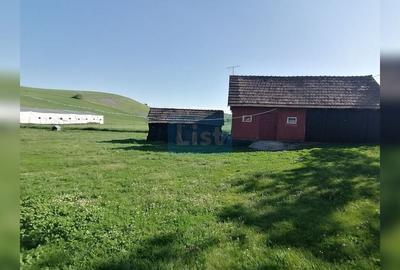 Casă cu 2 camere cu Teren 7000 Mp în Ploscoș - 6