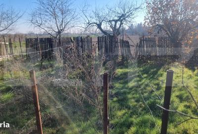 Casă cu 3 camere cu Teren 584 Mp în Brazi - 13