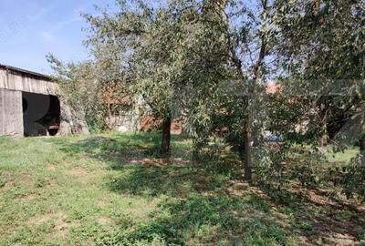 Casa mare cu gospodarie completa Belin?, jude?ul Timi? teren 4.900 mp - 17