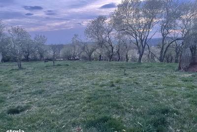 Spațiu comercial, în Central - 10