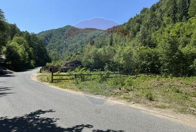 Teren intravilan 1500 mp Valea Ierii - 13