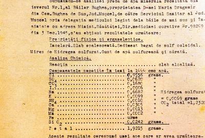 TEREN 8 HA + 15 IZVOARE, PARTIAL INTRAVILAN, IDEAL STATIUNE BALNEARA, ARGES - 3