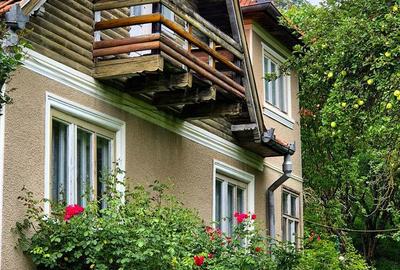 Teren de 4000 mp, în Bran - 8