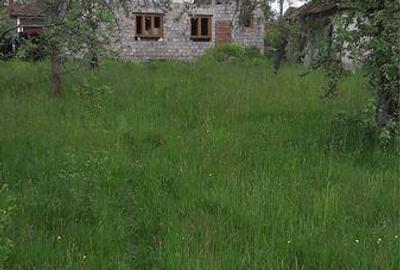 Casă cu 4 camere cu Teren 240 Mp în Buntești - 5