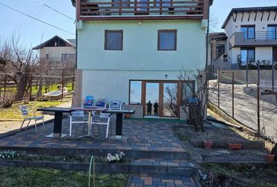 Casă cu 4 camere cu Teren 1650 Mp în Făget - 8