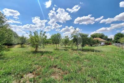 Casa cu teren intravilan, 4600 mp, investiitii/dezvoltare!