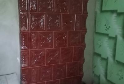 Casă bătrânească deosebită Păltiniș, Botoșani - 4