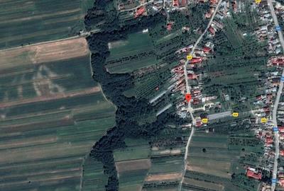 ID:16522: Teren arabil Sat Negreni, com. Darmanesti - 7