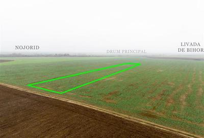 Teren agricol extravilan de 5800 mp, în Livada de Bihor - 1