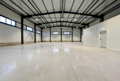 Hala depozitare - 437 mp - Ghiroda - Comision 0% - 1