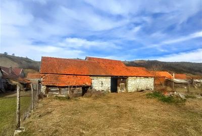 Casă individuală cu 4 camere cu Teren 719 Mp în Ciclova Română - 24