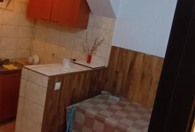 Gorjului -Militari, garsoniera in vila, centrală proprie - 8