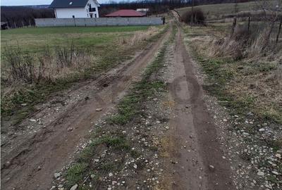 Teren de 5487 mp, în Sânmartin