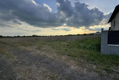 Teren de 766 mp, în Becicherecu Mic - 3