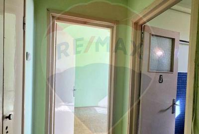 Apartament doua camere Gura Campului Medias - 3