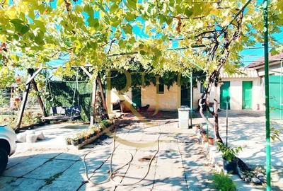 Casă cu 5 camere cu Teren 1500 Mp în Beregsău Mare - 1