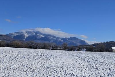 Spațiu comercial, în Pănicel