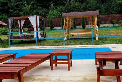 Inchiriez cabana cu piscina incalzita ?i jacuzzi fierbinte Inchiriez cabana cu piscina incalzita ?i jacuzzi fierbinte - 8