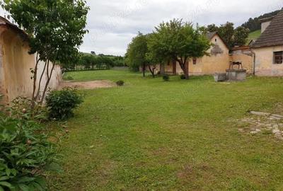 Casă cu 3 camere cu Canalizare în Sânpetru - 3