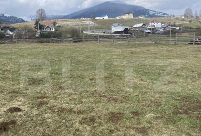 Teren intravilan de vanzare, 12.500 mp, zona Vatra Dornei, P - 5