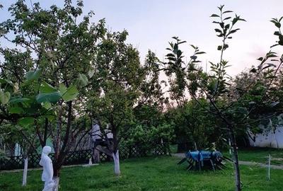 Casa | 9 camere | Garaj | Piscina | Teren 3.000 mp | Comision 0% - 6