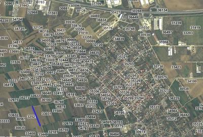 2 loturi de teren extravilan Bolintin-Deal 7800 mp si 2500 mp Pret negociabil - 2