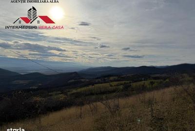 Teren de 8010 mp, în Vințu de Jos - 5