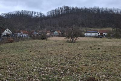 Teren de 3140 mp, în Petriș - 1