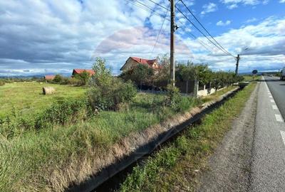 Teren intravilan De Vanzare - 5