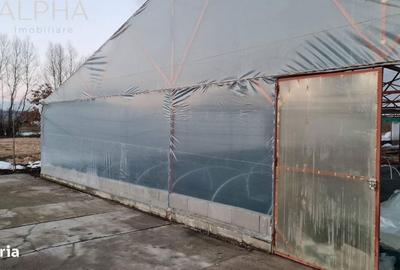 Spațiu comercial, de 1,300 mp, în Blăjenii de Sus - 6