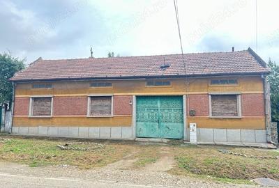 Casă cu 6 camere cu Teren 2160 Mp în Balinț - 2