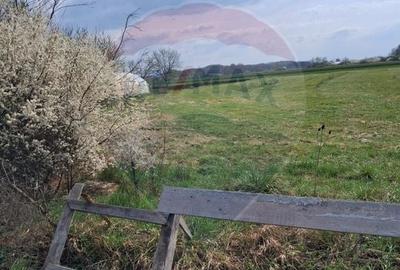 Teren Construcții intravilan de 1439 mp, în Santăul Mare - 2