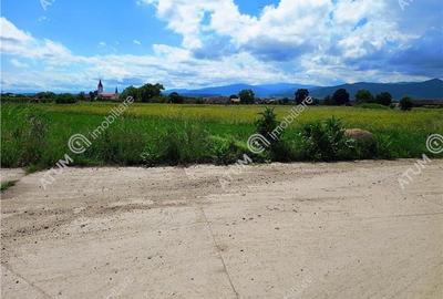 Teren intravilan 677 mp in Cristian langa Sibiu - 7