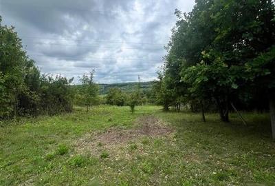 RECO teren de vanzare in zona Betfia - 6