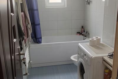 Apartament cu 2 camere decomandat în Turnișor - 8