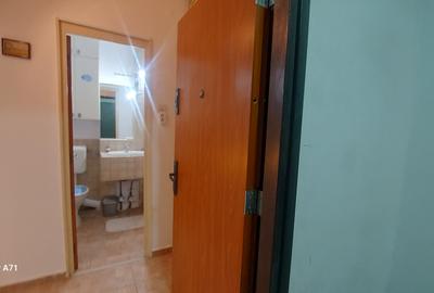 Panduri- garsoniera cocheta la cinci minute de metrou!! - 27