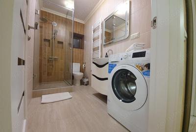 Apartament 2 camere de inchiriat in Pantelimon - 6