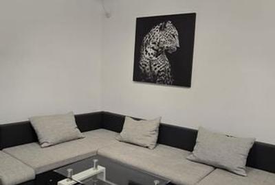 Casă cu 5 camere cu Canalizare în Dumbrăvița - 2