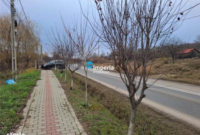 Teren de 625 mp, în Tomești - 4