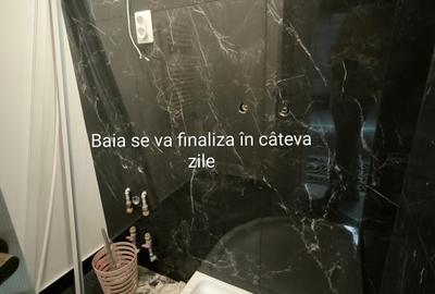 Garsonieră în Andrei Mureșanu - 4