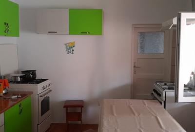 Casă cu 4 camere cu Teren 205 Mp în Coiciu - 7