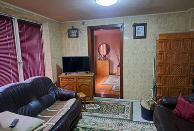 Casa mare cu 2 spatii comerciale, in Faget - 24