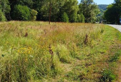 TEREN INTRAVILAN IN MARGA-LA DN68 JUD.CARA?-SEVERIN - 6