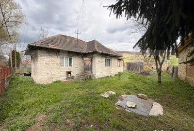 Casă cu 2 camere cu Teren 2600 Mp în Chinteni - 3