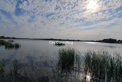 Vanzare vila la Lac Buftea - 7