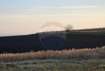 Teren extravilan 30077mp Stroiesti / Soseaua DN17, Suceava - 11