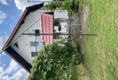 Casă cu 3 camere în Trifești - 10